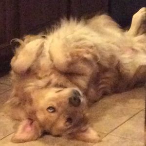 Meet your Posher, Mary